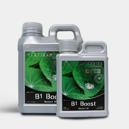 B1 Boost B1 Boost