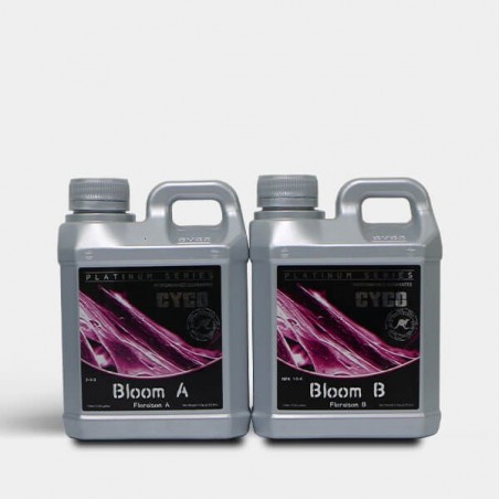Bloom A+B Bloom A+B