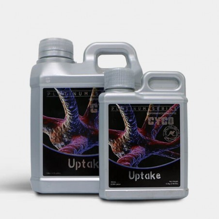 Uptake Uptake