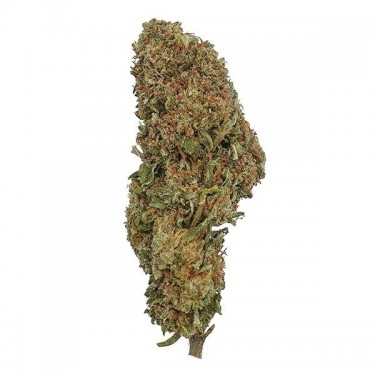 Fiori di CBD The Family F***IN' BOSS - GB The Green Brand