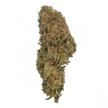 Flores de CBD The Family F***IN' BOSS flor