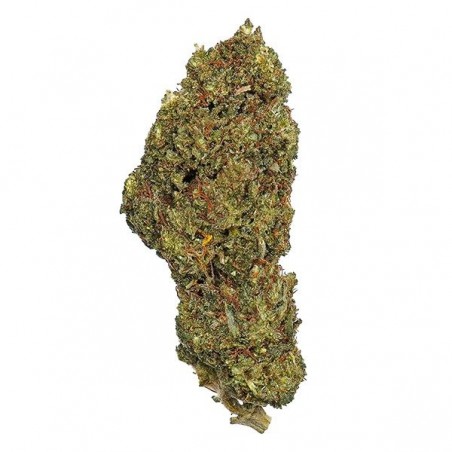 Flores de CBD The Family BLING BLING flor