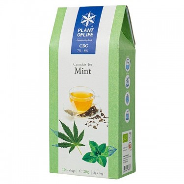 Infusión de CBG 8% Menta