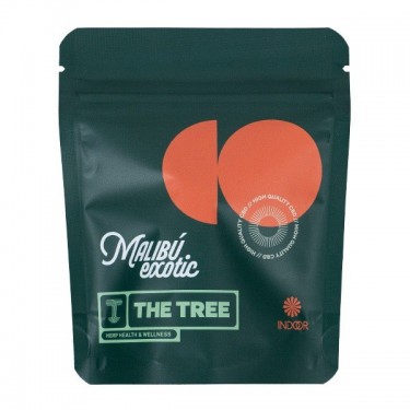 Flores The Tree CBD Indoor 'Malibu Exotic'