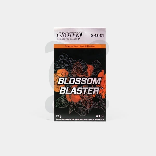 Blossom Blaster 20