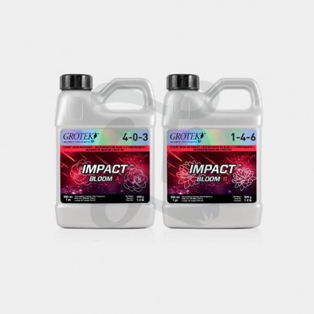 Impact Bloom A+B 500 Impact Bloom A+B 500