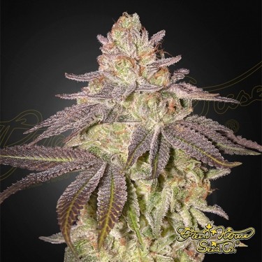 Black Toffee Auto