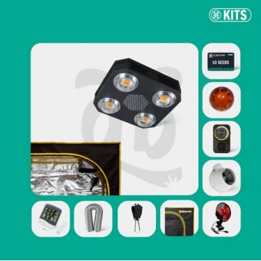 Kit Cultivo Interior Intermedio