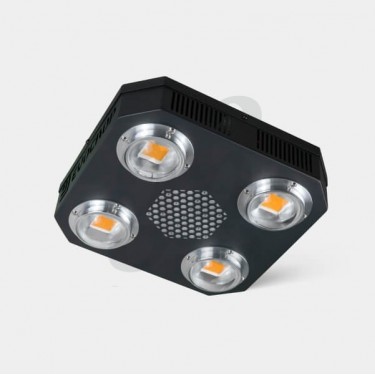 Kit Cultivo Interior Intermédio - GB The Green Brand