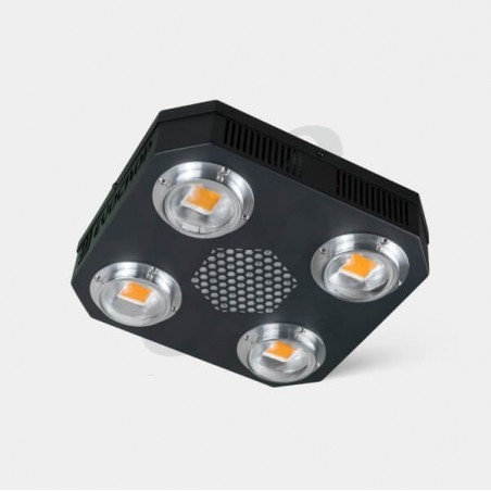 Kit Cultivo Interior Intermedio