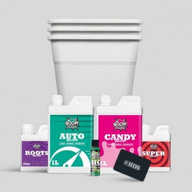 Kit autoflorecientes XXL 3 semillas