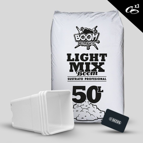 Kit exterior autoflorecientes 3 semillas sin fertilizante