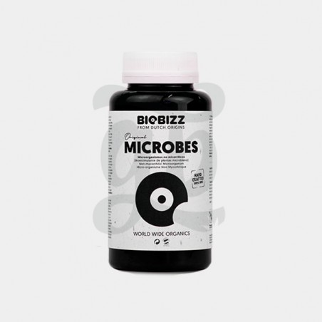 Microbes Microbes