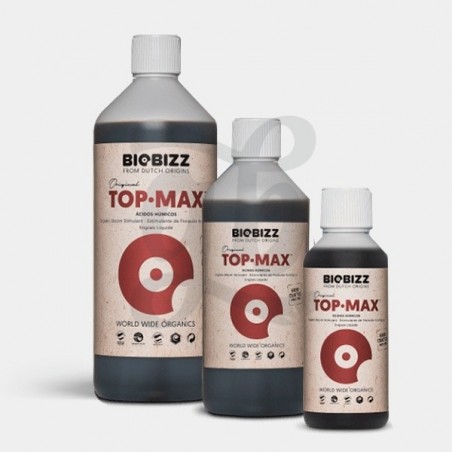 Top Max Top Max