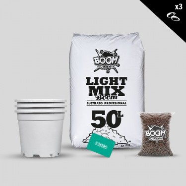 Kit Exterior Feminizadas sin semillas