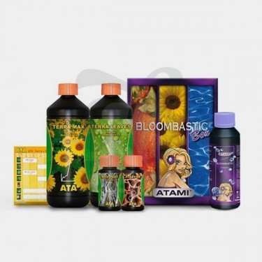 Bloombastic Terra Box
