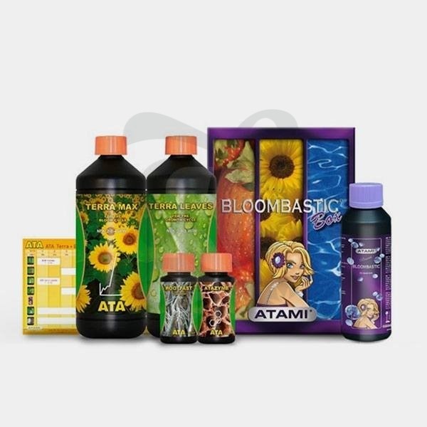 Bloombastic Terra Box