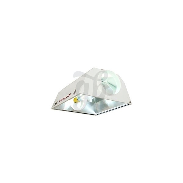 Reflectores Radiant 6 y 8
