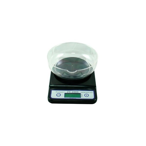 Escala Zx 2000