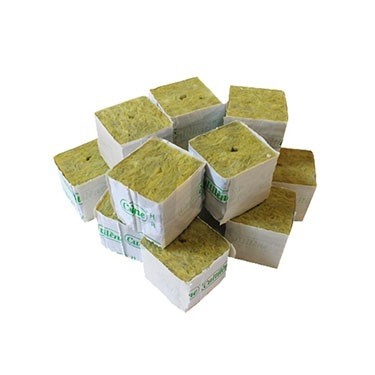 Rockwool cubes for cuttings