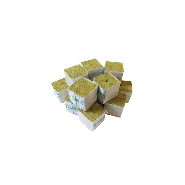 Rockwool cubes for cuttings