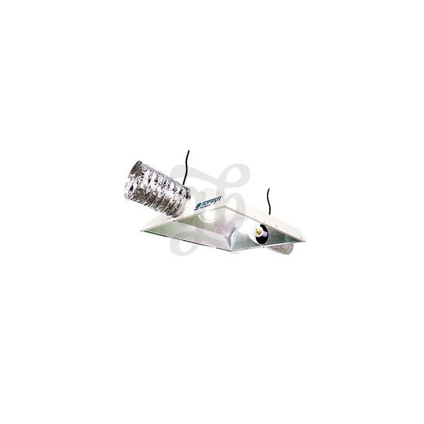 Reflectores Raptor 6 o 8 y Dual Lamp