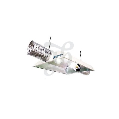 Reflectores Raptor 6 o 8 y Dual Lamp