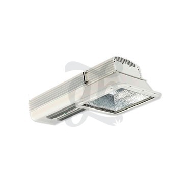 Gavita Plasma Lighting Kit - PRO 300e LEP AC2