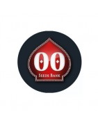 ≫ Comprar Semillas autoflorecientes 00 Seeds Bank - GrowBarato.net