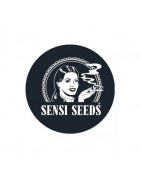 ≫ Comprar Sensi Seeds regular - GrowBarato.net