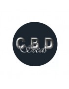 ≫ Comprar Semillas CBD Seeds auto - GrowBarato.net