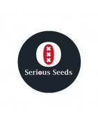 ≫ Comprar Semillas regulares Serious Seeds - GrowBarato.net