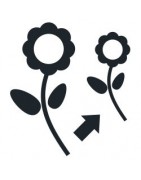 Comprar accesorios para cultivo de Madres y Esquejes Baratos