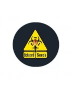 ≫ Comprar Semillas feminizadas Biohazard Seeds - GrowBarato.net