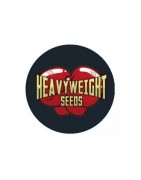 ≫ Comprar Semillas autoflorecientes Heavyweight Seeds - GrowBarato.net