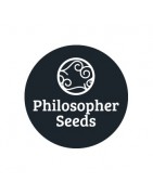 ≫ Comprar Semillas autoflorecientes Philosopher Seeds - GB