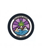 ≫ Comprar Semillas regulares Delicious Seeds - GrowBarato.net
