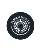 ≫ Comprar Semillas feminizadas Tropical Seeds - Grow Barato