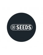 ≫ Comprar Semillas a Granel Feminizadas Baratas - GB