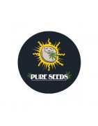 ≫ Comprar Semillas feminizadas Pure Seeds - GrowBarato.net