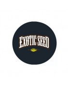 ≫ Comprar Semillas feminizadas Exotic Seed - GrowBarato.net
