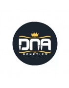 ≫ Comprar Semillas regulares DNA Genetics - GrowBarato.net