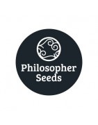 - Comprar Philosopher Seeds Regular - GrowBarato.net