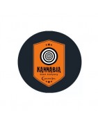 ≫ Comprar Semillas regulares Kannabia - GrowBarato.net
