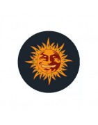 ≫ Comprar Semillas regulares Barney's Farm - GrowBarato.net