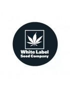 Compra Prodotti White Label Seeds - Growbarato.net