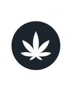 Comprar Flores de CBD Baratas【 Cogollos de CBD 】Legal ✅