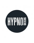 Comprar semillas autoflorecientes de Hypno Seeds - GB