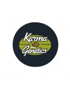 ≫ Comprar Semillas feminizadas Karma Genetics - GrowBarato.net