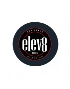 ≫ Comprar Semillas regulares Elev8 Seeds - GrowBarato.net